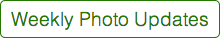 Weekly Photo Updates